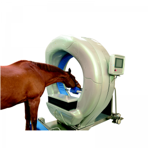 Computertomograph Pferd