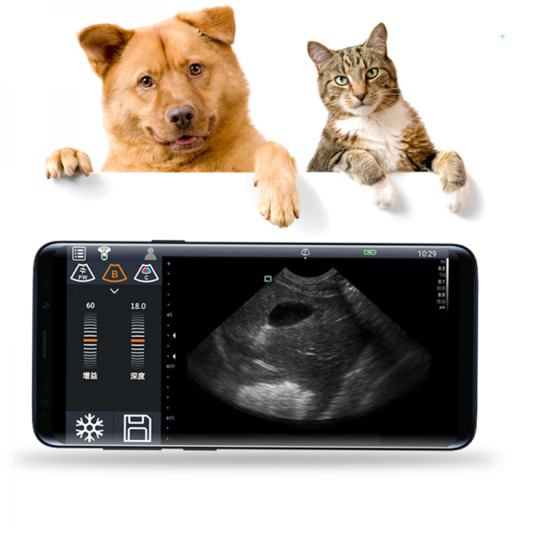 mobiles Ultraschallgerät mit App für das Handy